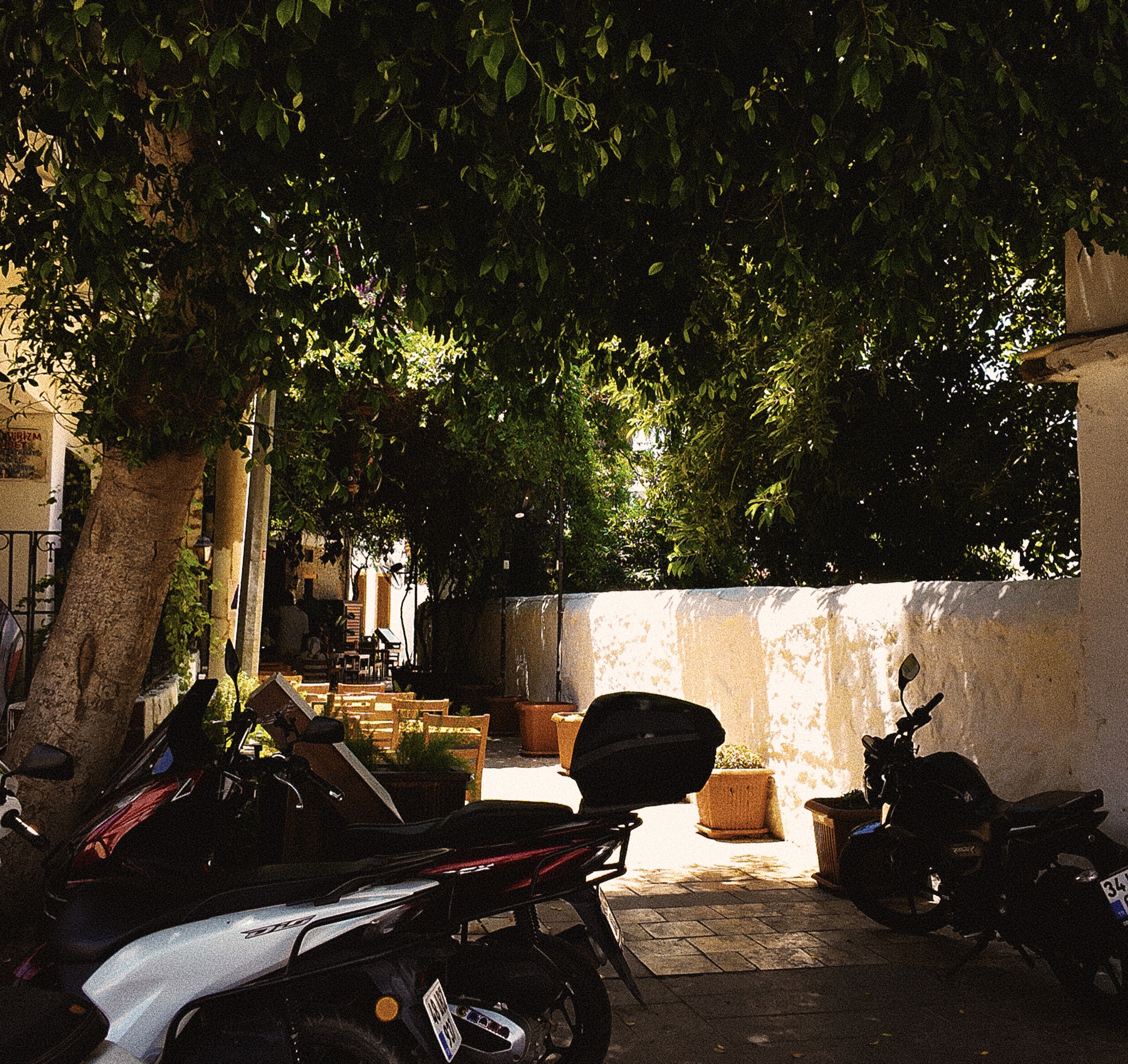 Motorcycles parked under dense trees on a sunlit Bodrum lane