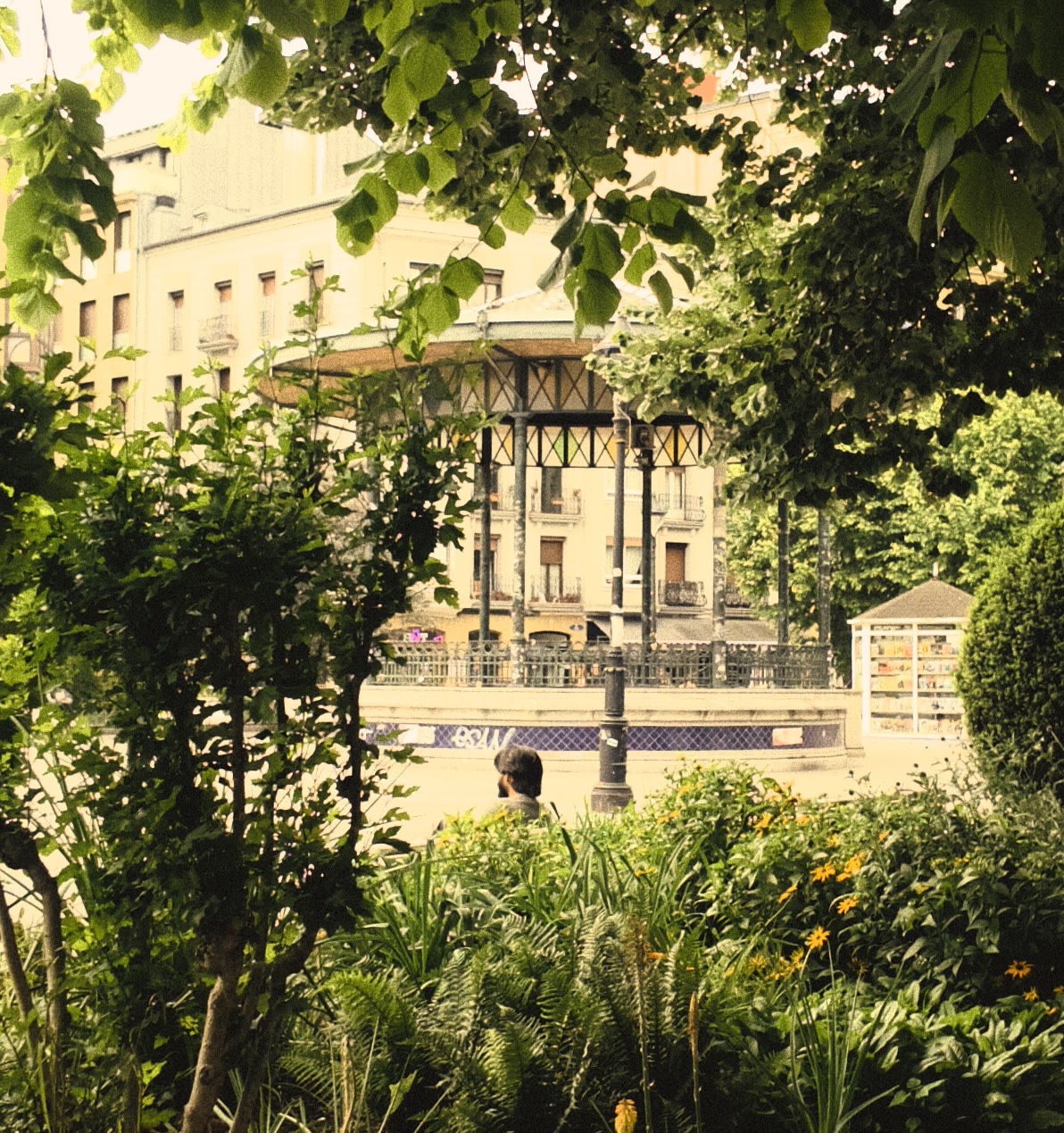 A solitary man seen through dense garden foliage in San Sebastián